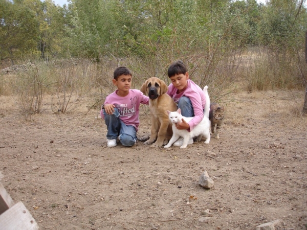 Mis niños y Canelo
Keywords: puerto canencia