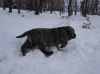 Filename=21ou646.jpg
Filesize=759KiB
Dimensions=1600x1196
Date added=%368 %31, %2011 21ou646.jpg