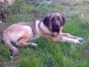 Filename=24102009_002.jpg
Filesize=58KiB
Dimensions=640x480
Date added=%566 %27, %2009 24102009_002.jpg