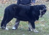 Filename=2ch24u9.jpg
Filesize=81KiB
Dimensions=640x467
Date added=%711 %15, %2010 2ch24u9.jpg