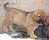 Filename=2drhrvd.jpg
Filesize=144KiB
Dimensions=936x768
Date added=%371 %31, %2011 2drhrvd.jpg