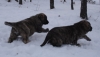 Filename=2dvkkdz.jpg
Filesize=59KiB
Dimensions=1024x589
Date added=%371 %31, %2011 2dvkkdz.jpg
