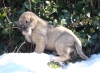 Filename=2en6c7c.jpg
Filesize=315KiB
Dimensions=949x702
Date added=%377 %07, %2011 2en6c7c.jpg