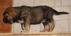 Filename=2rgo115.jpg
Filesize=469KiB
Dimensions=1599x818
Date added=%527 %18, %2011 2rgo115.jpg