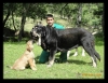 Filename=325y346u346u4.jpg
Filesize=112KiB
Dimensions=800x623
Date added=%338 %31, %2011 325y346u346u4.jpg