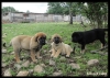 Filename=56u845785768.jpg
Filesize=101KiB
Dimensions=800x572
Date added=%339 %31, %2011 56u845785768.jpg