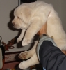 Filename=6.JPG
Filesize=56KiB
Dimensions=336x351
Date added=%370 %25, %2009 6.JPG