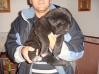 Filename=9.JPG
Filesize=78KiB
Dimensions=448x336
Date added=%768 %21, %2009 9.JPG