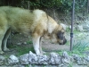 Filename=DSC00217.JPG
Filesize=141KiB
Dimensions=640x480
Date added=%315 %12, %2010 DSC00217.JPG