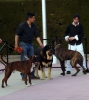 Filename=DSC00254.JPG
Filesize=223KiB
Dimensions=585x652
Date added=%760 %22, %2012 DSC00254.JPG