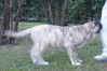 Filename=DSC02827.JPG
Filesize=225KiB
Dimensions=921x612
Date added=%306 %21, %2009 DSC02827.JPG