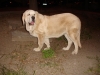 Filename=DSC03632.JPG
Filesize=145KiB
Dimensions=640x480
Date added=%326 %27, %2010 DSC03632.JPG