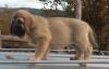 Filename=DSC_0351.jpg
Filesize=345KiB
Dimensions=1979x1271
Date added=%918 %01, %2011 DSC_0351.jpg