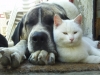 Filename=FILE0297.JPG
Filesize=103KiB
Dimensions=640x480
Date added=%359 %25, %2009 FILE0297.JPG