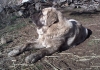 Filename=IMG004.jpg
Filesize=131KiB
Dimensions=640x454
Date added=%313 %12, %2010 IMG004.jpg