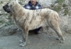Filename=IMG021.jpg
Filesize=77KiB
Dimensions=640x451
Date added=%311 %12, %2010 IMG021.jpg