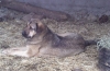 Filename=IMG035.jpg
Filesize=85KiB
Dimensions=640x420
Date added=%484 %27, %2010 IMG035.jpg