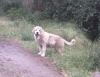 Filename=IMG137.jpg
Filesize=76KiB
Dimensions=736x572
Date added=%528 %10, %2010 IMG137.jpg