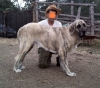 Filename=IMG168p.JPG
Filesize=415KiB
Dimensions=1564x1389
Date added=%398 %22, %2010 IMG168p.JPG