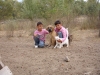 Filename=Ivan,Jorge,Canelo,gato.JPG
Filesize=225KiB
Dimensions=800x600
Date added=%361 %25, %2009 Ivan,Jorge,Canelo,gato.JPG