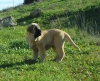 Filename=NrJVZlC.jpg
Filesize=253KiB
Dimensions=1075x871
Date added=%335 %07, %2013 NrJVZlC.jpg