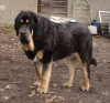 Filename=duna10mese.jpg
Filesize=325KiB
Dimensions=800x747
Date added=%393 %07, %2012 duna10mese.jpg