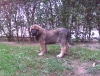 Filename=entera.jpg
Filesize=91KiB
Dimensions=629x480
Date added=%401 %30, %2009 entera.jpg