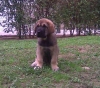 Filename=frete1.jpg
Filesize=57KiB
Dimensions=541x480
Date added=%400 %30, %2009 frete1.jpg