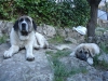 Filename=orco_y_hada.JPG
Filesize=1473KiB
Dimensions=2048x1536
Date added=%299 %20, %2009 orco_y_hada.JPG