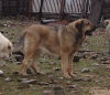 Filename=yeza.jpg
Filesize=157KiB
Dimensions=639x550
Date added=%739 %10, %2011 yeza.jpg