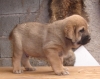 Filename=zzzzz.jpg
Filesize=46KiB
Dimensions=640x508
Date added=%321 %03, %2012 zzzzz.jpg
