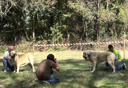 Fresno del Camino - 14.08.2011
Kľúčové slová: 2011