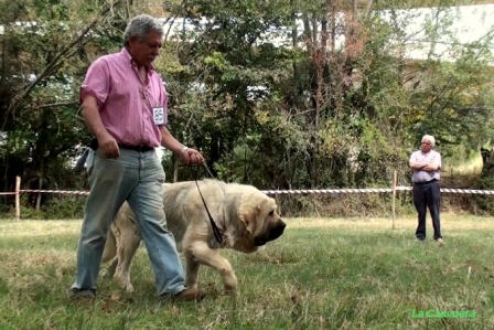 Fresno del Camino - 14.08.2011
Nyckelord: 2011