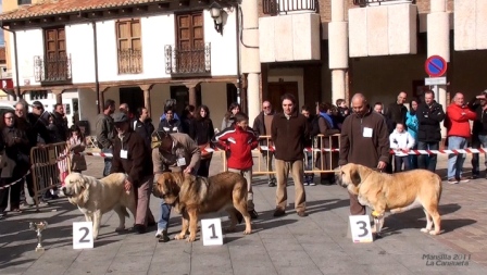 Mansilla de las Mulas 06.11.2011
Keywords: 2011