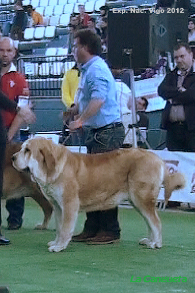 National Show, Vigo, Galicia, Spain, 23.03.2012 
Keywords: 2012