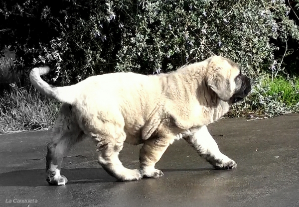 Bimba paseando al sol
