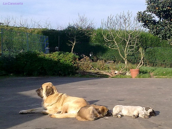 Al sol del invierno
