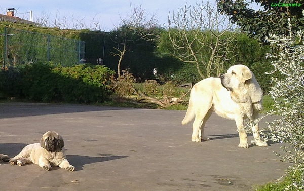 Familia al sol
