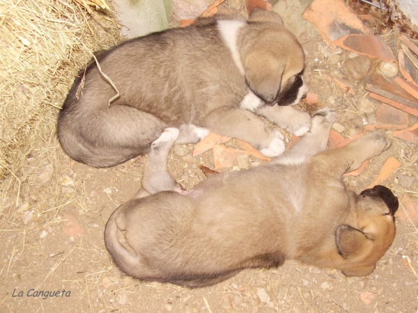 Siesta tras la comida
