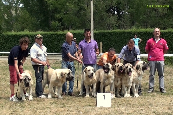 1º BAO LA MADERA - GRUPO DE CRIA - Cervera de Pisuerga 13.08.2011
Keywords: 2011 baolamadera