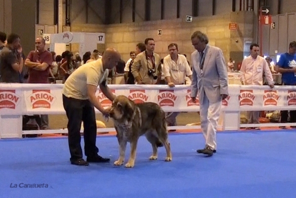 'Razas Españolas', International Spring Show, Madrid, Spain. 27.05.2012
Keywords: 2012