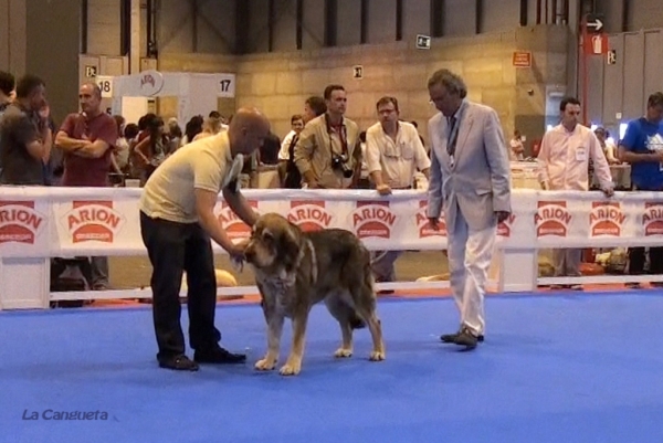 'Razas Españolas', International Spring Show, Madrid, Spain. 27.05.2012
Keywords: 2012