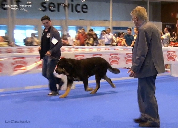 International Spring Show Madrid - 27.05.2012
Keywords: 2012