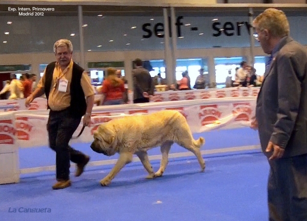 International Spring Show Madrid - 27.05.2012
Keywords: 2012