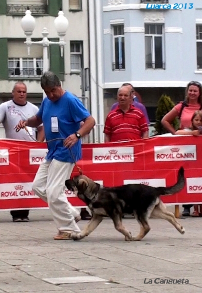 Luarca, Asturias 19.07.2013
Keywords: 2013