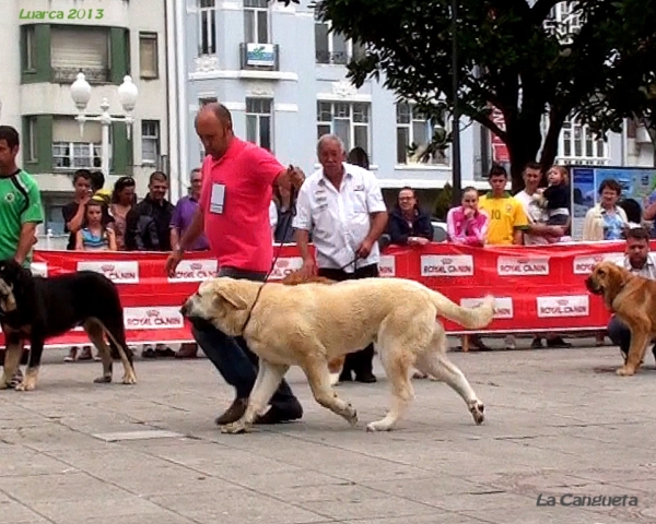 Luarca, Asturias 19.07.2013
Keywords: 2013