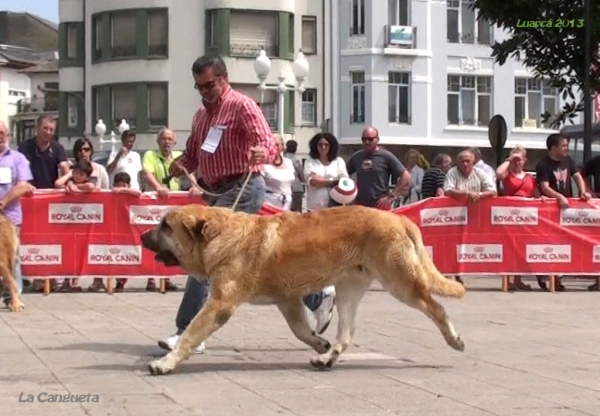 Luarca, Asturias 19.07.2013
Võtmesõnad: 2013