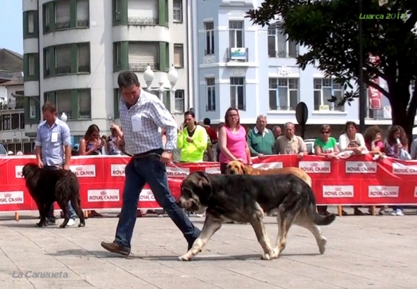 Luarca, Asturias 19.07.2013
Keywords: 2013