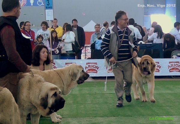 National Show, Vigo, Galicia, Spain, 23.03.2012
Keywords: 2012