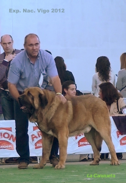 National Show, Vigo, Galicia, Spain, 23.03.2012
Keywords: 2012